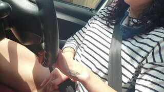 گرفتن یک درایو ماشین عمومی در حالی که بازی با گربه کوچک من